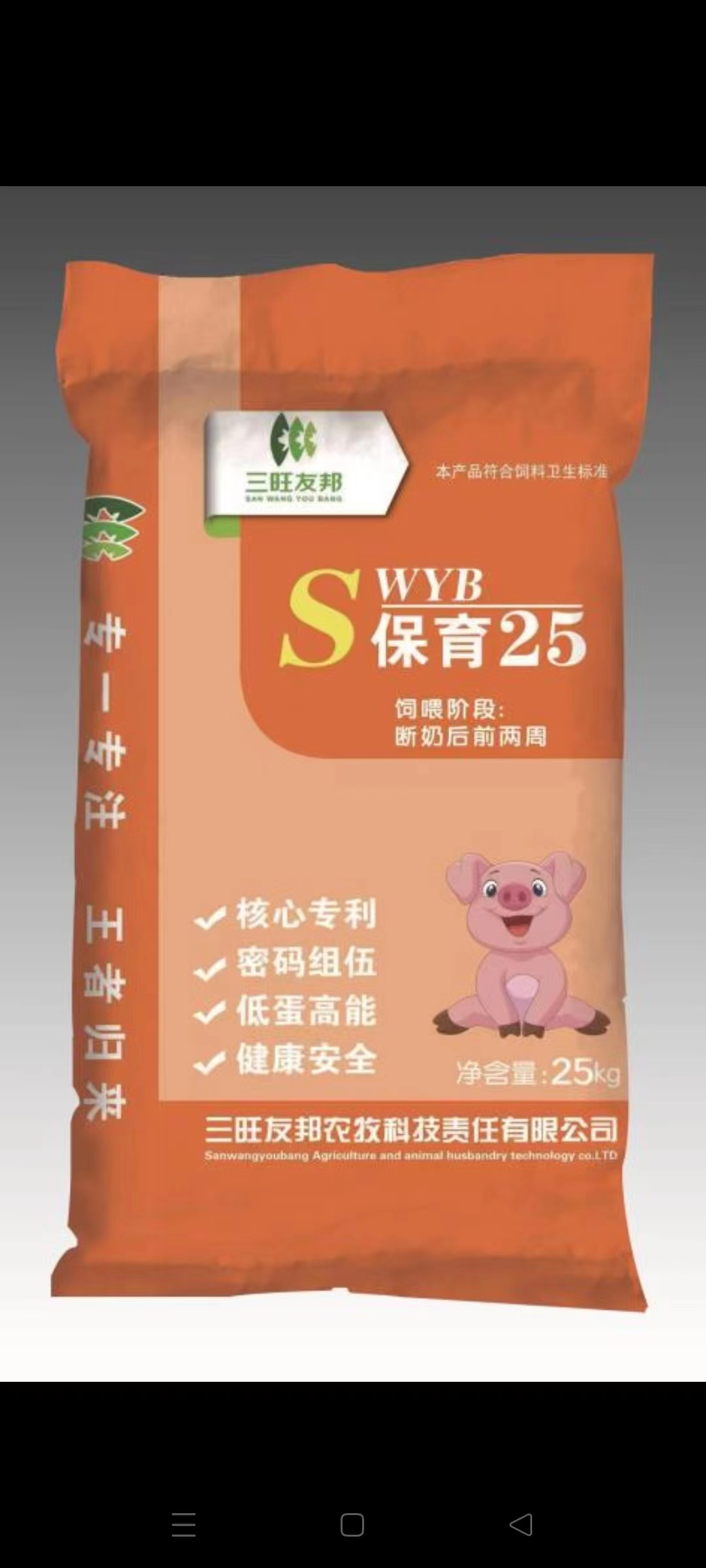 保育豬濃縮料
